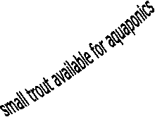  ENTER SITE